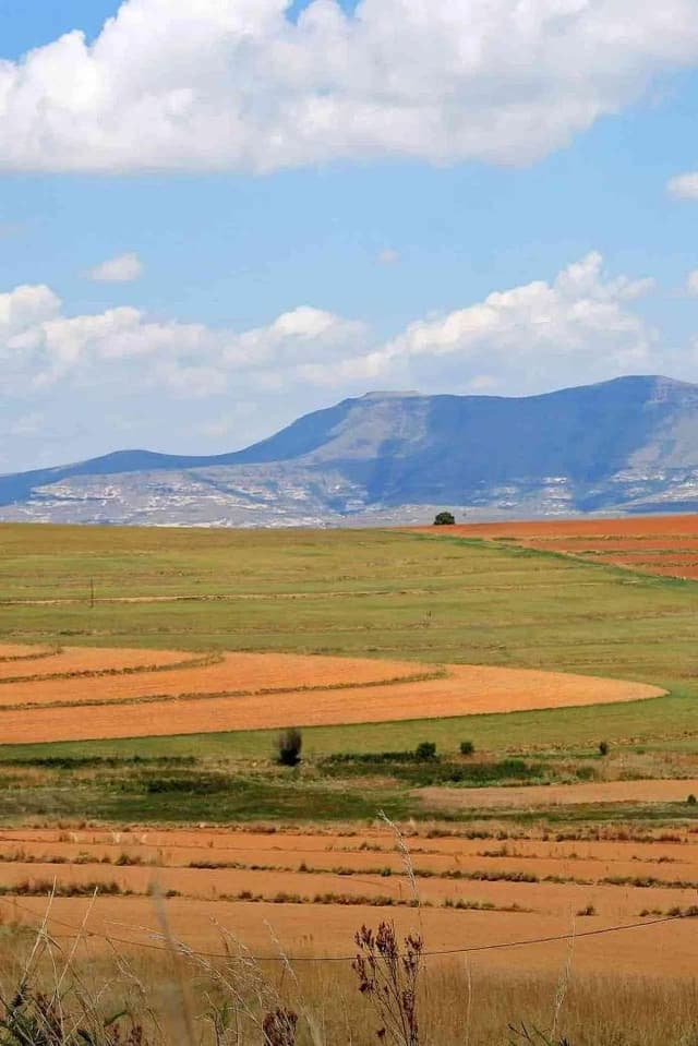 Moslashtirilgan nishablik dizayni
